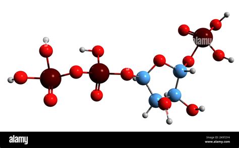 Struttura chimica dell'aciclovir