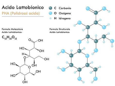 Schema che illustra le diverse funzioni dell'acido lattobionico sulla pelle