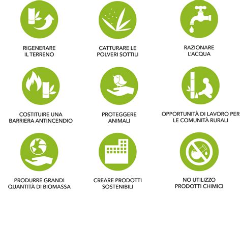 Schema comparativo degli ingredienti attivi e dei loro benefici