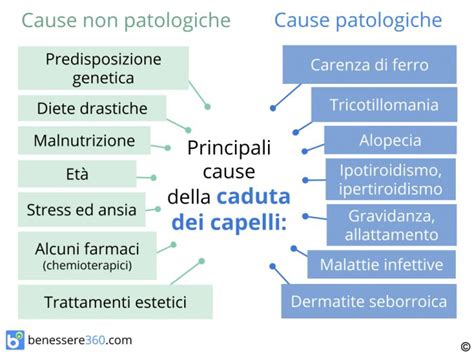 Diagramma delle cause di perdita dei capelli