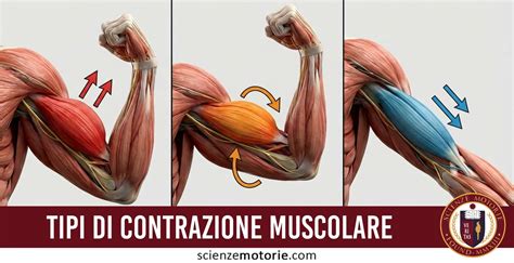 Diagramma che illustra i diversi tipi di cheratodermia palmoplantare, con focus sulle forme puntate, striate e diffuse.