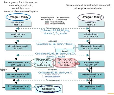 Diagramma dei percorsi metabolici degli Omega-3 e Omega-6 nell'infiammazione