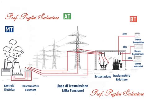 Schema della trasmissione dell'Herpes Simplex