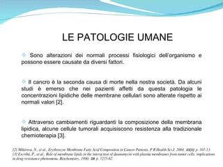 Schema delle alterazioni lipidiche nelle patologie cutanee