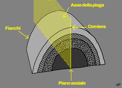 Schema delle pieghe cutanee dove si manifestano le intertrigini