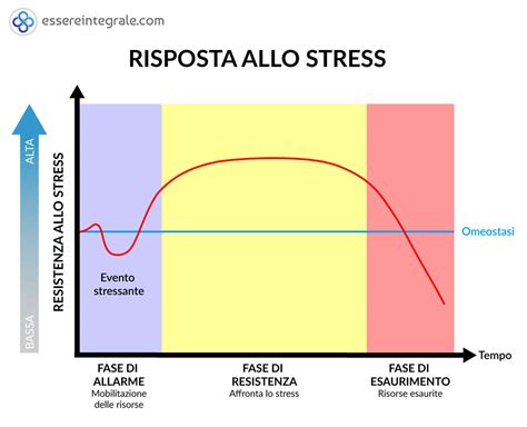 Schema dell'impatto dello stress sulla pelle