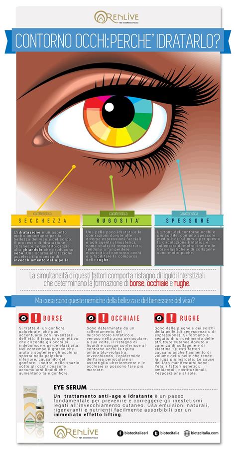 Diagramma della zona perioculare