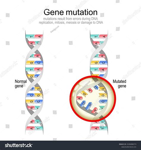 DNA helix with genetic mutations