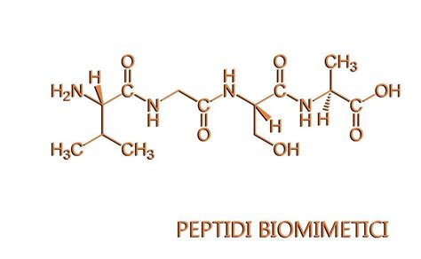 Molecole di peptidi biomimetici