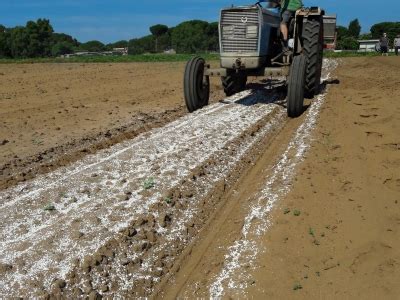 Applicazioni della calce in agricoltura