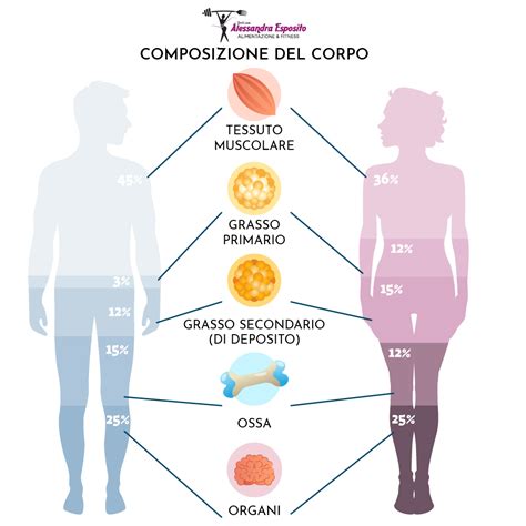 Composizione di diversi prodotti per il corpo