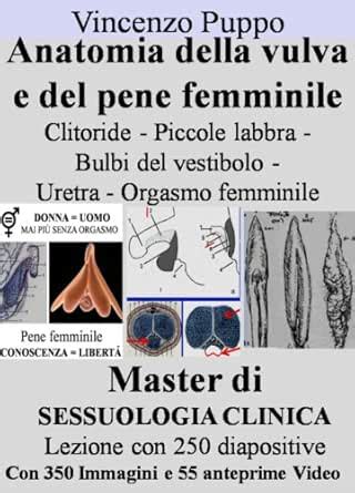 anatomia della vulva femminile