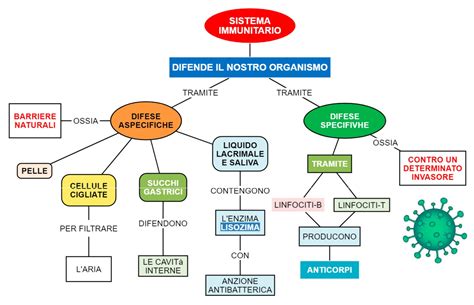 Schema di un sistema immunitario che reagisce a un farmaco
