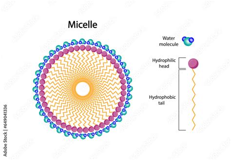 Concetto di micelle che catturano le impurità