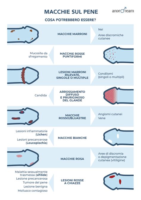 Diagramma che illustra le diverse cause di macchie rosse sul pene