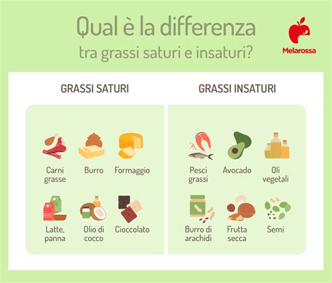 Illustrazione che mostra la differenza tra grassi saturi e insaturi