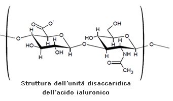 Infografica che mostra la struttura molecolare dell'acido ialuronico e i suoi benefici per la pelle