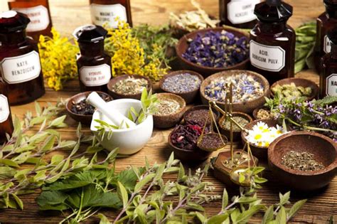 Piante medicinali