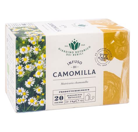 Infuso di camomilla