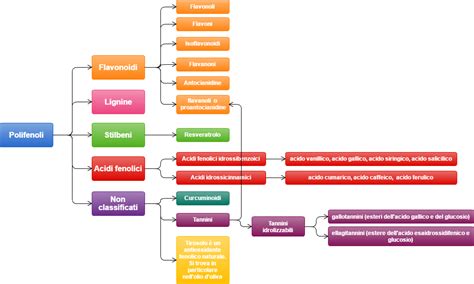 Schema molecolare dei polifenoli dell'uva