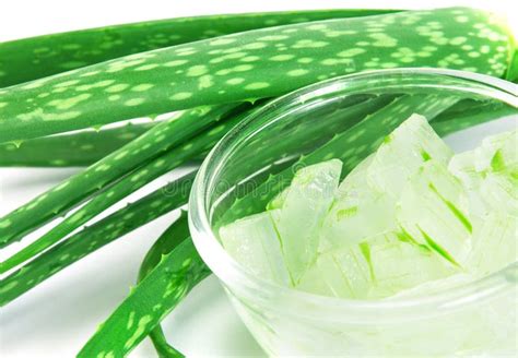 Foglia di aloe vera con gel trasparente