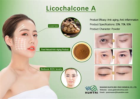 Illustrazione di ingredienti comuni nei prodotti per la cura della pelle