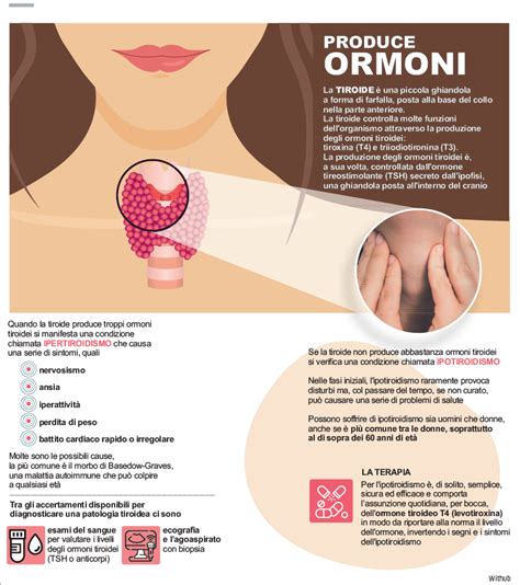 Infografica che illustra le vie di trasmissione dell'Herpes