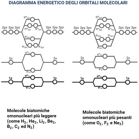 Diagramma comparativo delle dimensioni molecolari degli AHA