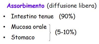 Diagramma dei fattori che influenzano l'assorbimento cutaneo