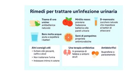 Infografica sui rimedi naturali per le vie urinarie