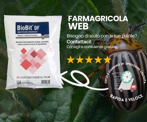 Applicazione di un trattamento biologico su piante di patata