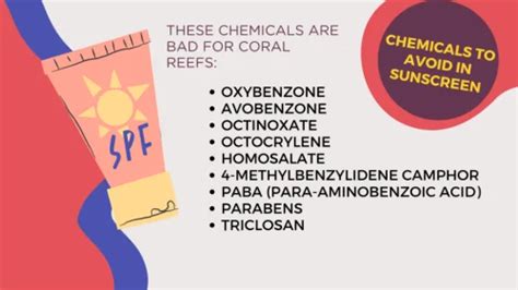 Ingredienti dannosi nelle creme solari