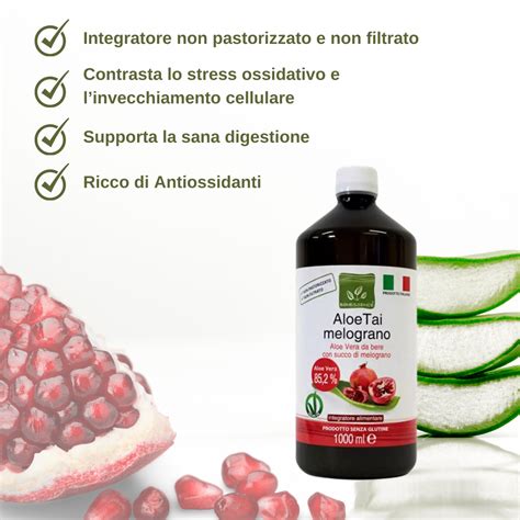 Illustrazione di estratti botanici come aloe vera, limetta, melograno