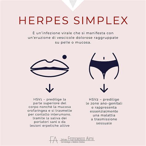 illustrazione di vescicole da herpes genitale