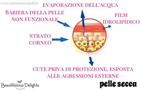 Diagramma del film idrolipidico della pelle