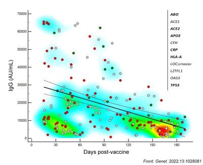 Grafico che mostra la risposta anticorpale al vaccino anti-SARS-CoV-2 in diverse coorti di pazienti