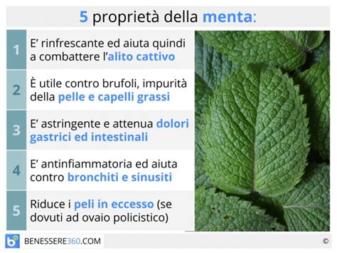 Diagramma che mostra i benefici dell'anguria e della menta per la pelle