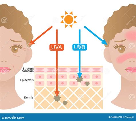 Schema che illustra la differenza tra raggi UVA, UVB e infrarossi