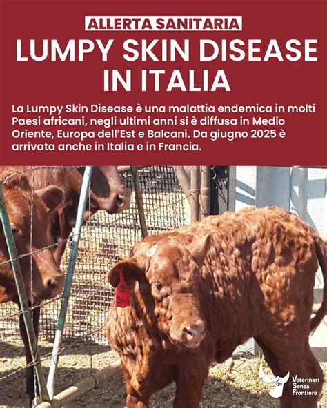 Cronologia degli eventi principali legati alla Lumpy Skin Disease in Europa