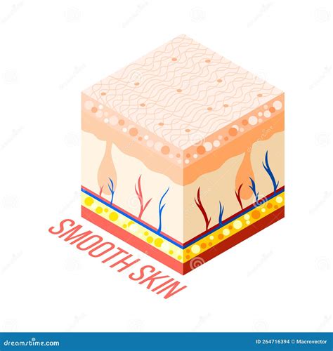 Schema di un poro cutaneo con punto nero e filamento sebaceo