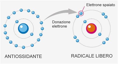 vitamine antiossidanti e radicali liberi