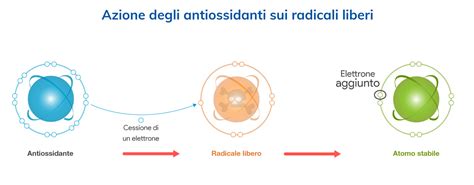 Infografica che mostra l'azione degli antiossidanti sui radicali liberi