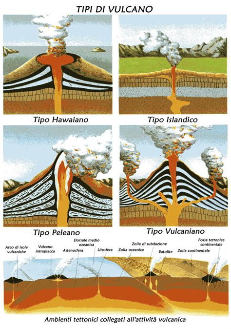 Illustrazione di diverse tipologie di eruzioni cutanee