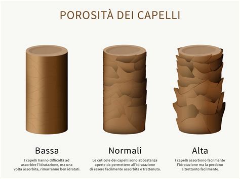 Schema capelli a bassa porosità