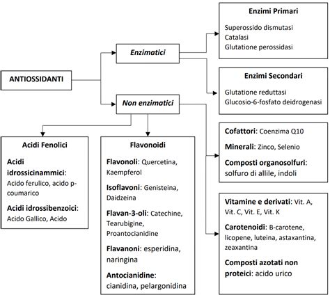 Diagramma dei benefici degli antiossidanti sulla pelle