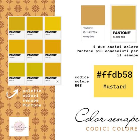 Immagine di una crema dal colore senape con un leggero sentore di pepe