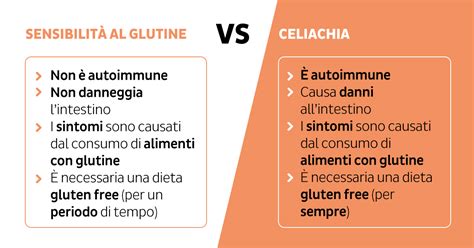 Illustrazione delle differenze tra allergia al grano, celiachia e sensibilità al glutine