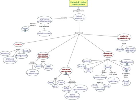 Mappa concettuale dei fattori di rischio per le verruche