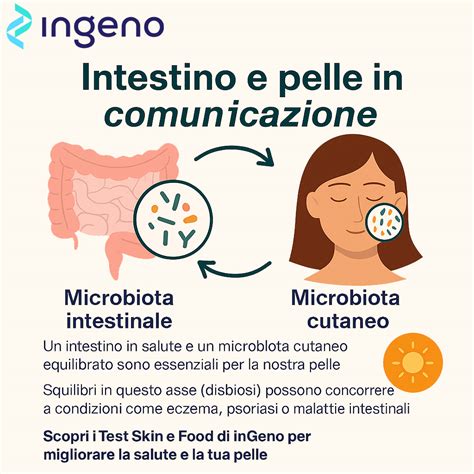Schema del microbiota intestinale e pelle