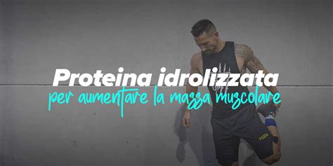 Diagramma che illustra l'azione delle proteine idrolizzate da riso e dei fitosteroli sulla struttura del capello